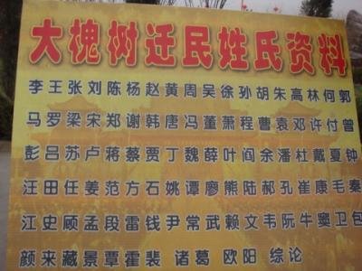 山西大槐树马氏字辈图片